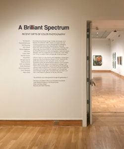 An example of vinyl signage designed for the Santa Barbara Museum of Arts' A Brilliant Spectrum: Recent Gifts of Color Photography exhibition