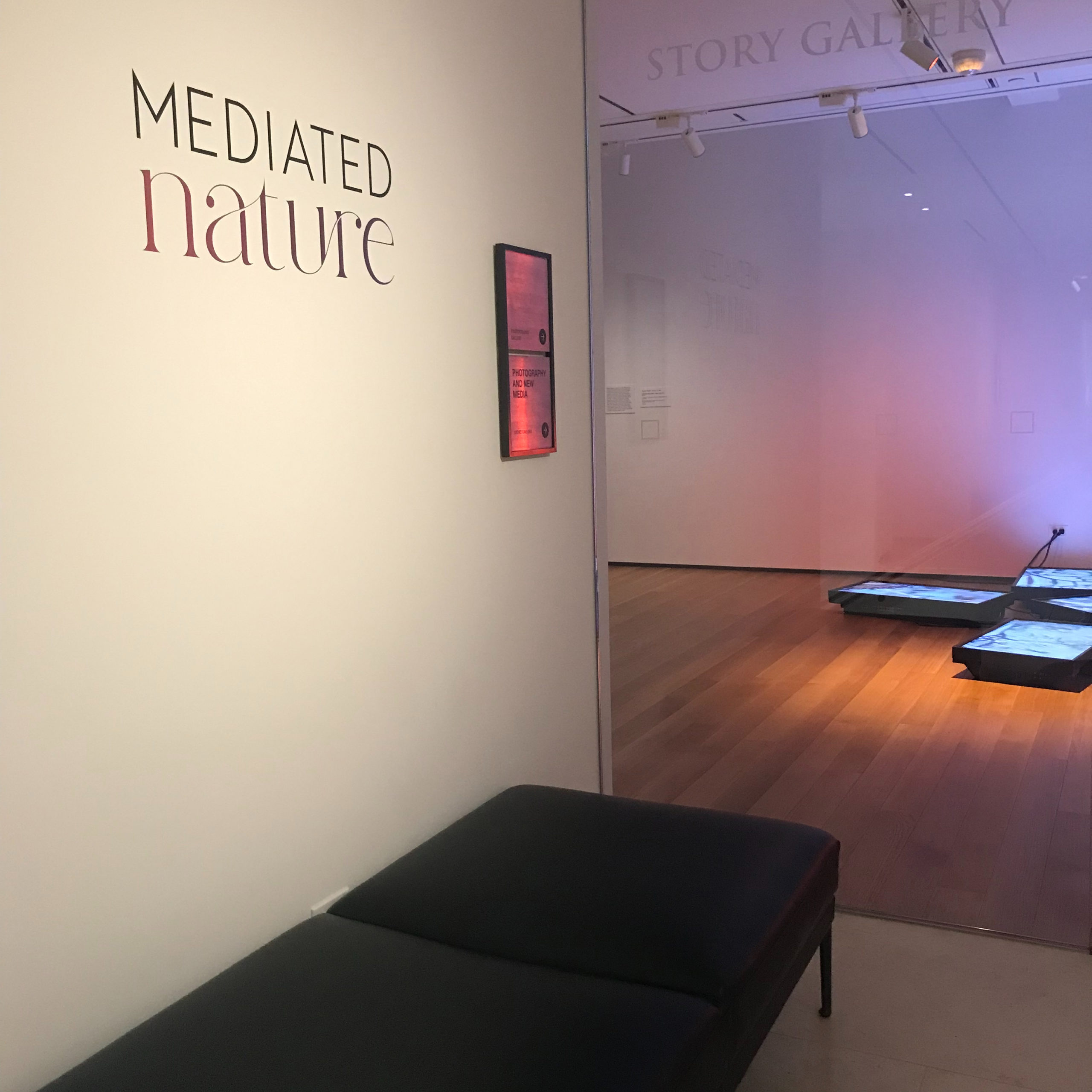 An example of vinyl Signage designed for the Santa Barbara Museum of Art's Mediated Nature exhibition